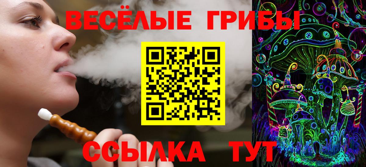 Серов  цены наркотик  Вход с VPN  Псилоцибиновые грибы мицелий 